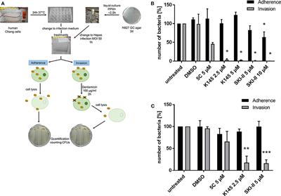 A Role of Sphingosine in the Intracellular Survival of Neisseria gonorrhoeae